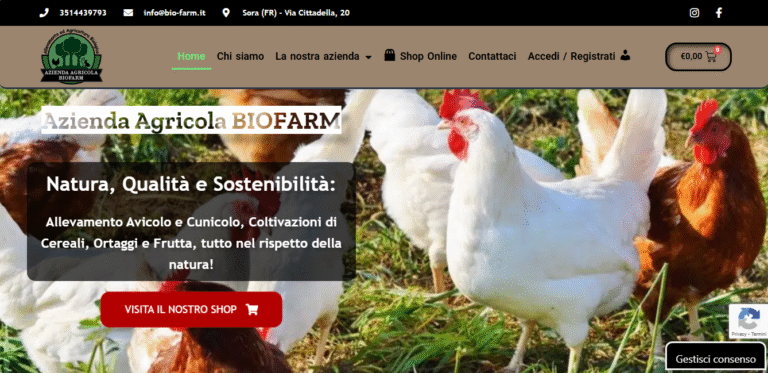 sito web